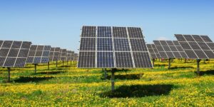 Leia mais sobre o artigo A Importância da Escolha do Parceiro Logístico para Empresas de Energia Solar
