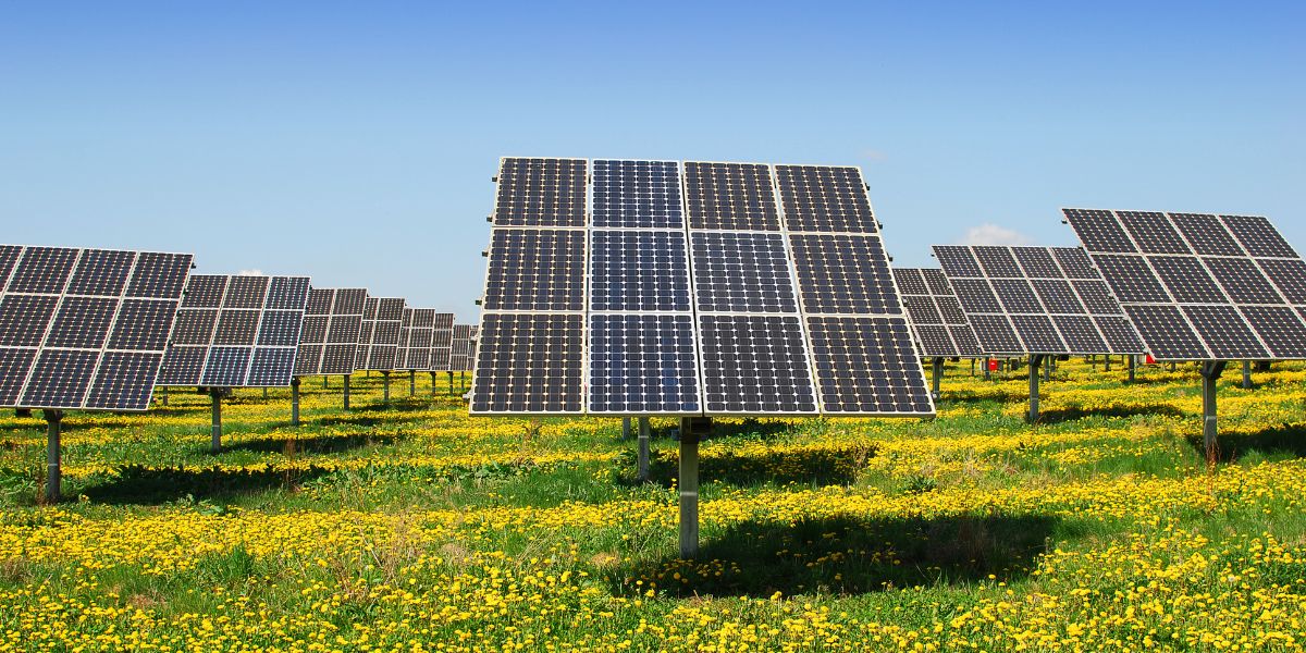 Você está visualizando atualmente A Importância da Escolha do Parceiro Logístico para Empresas de Energia Solar