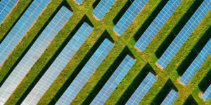 Leia mais sobre o artigo Por que a Logística Correta é Crucial para Projetos de Energia Solar.